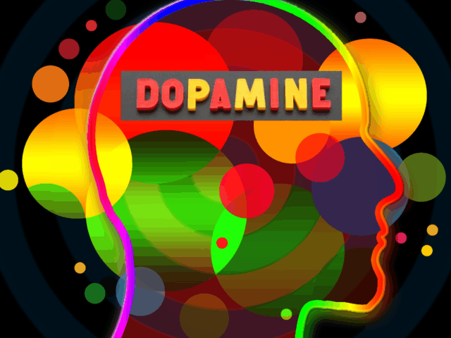 Dopamine positive et dopamine négative : comprendre les deux dynamiques