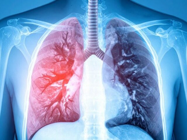 Vapotage : l’ANSES confirme des dangers sanitaires, même sans nicotine